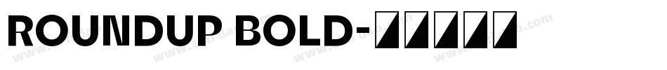 RoundUp Bold字体转换